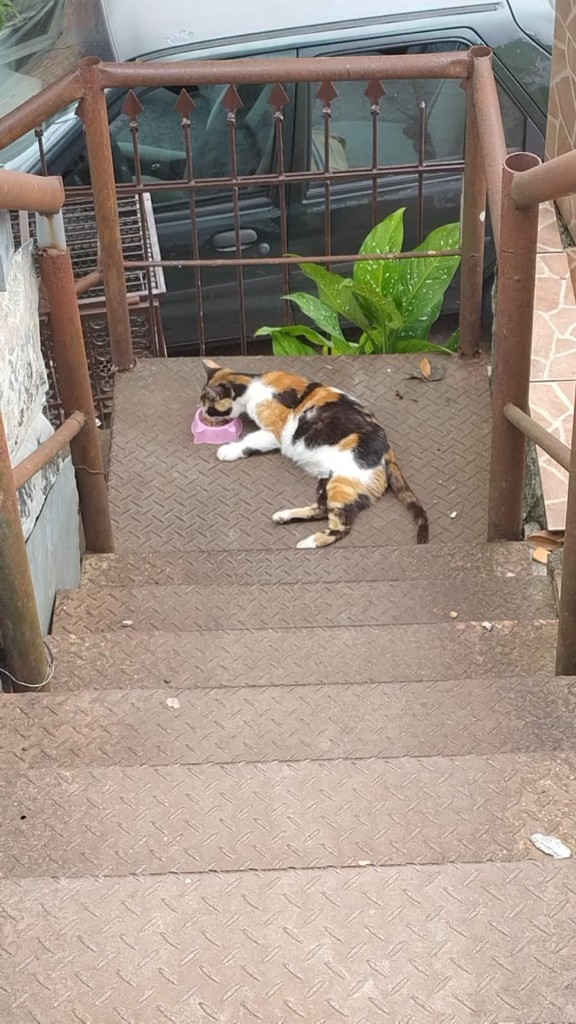 IMG-20231213-WA0130 (Personalizado)