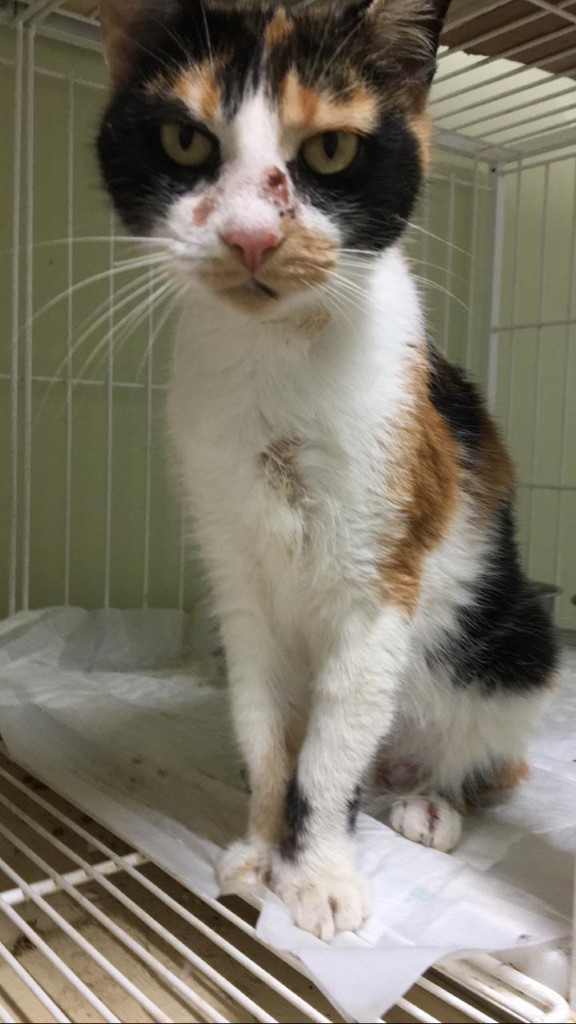 IMG-20240120-WA0089 (Personalizado)