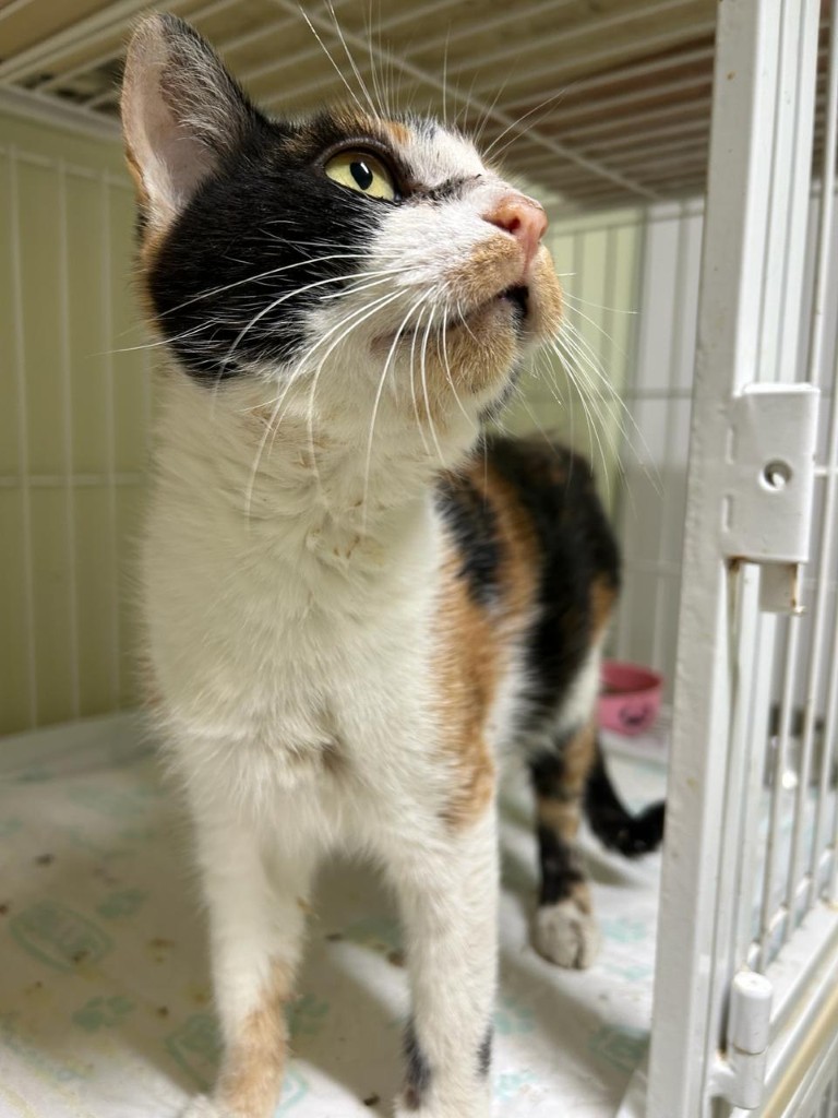 IMG-20240216-WA0154 (Personalizado)