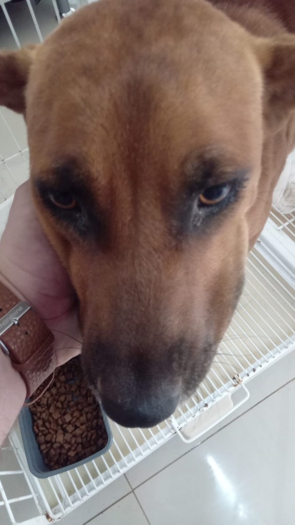 WhatsApp Image 2024-03-18 at 21.38.07 (Personalizado)