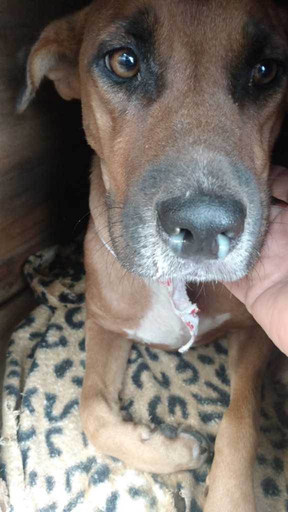 WhatsApp Image 2024-03-18 at 21.38.20 (Personalizado)