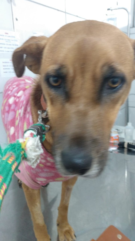 WhatsApp Image 2024-03-18 at 21.38.24 (3) (Personalizado)