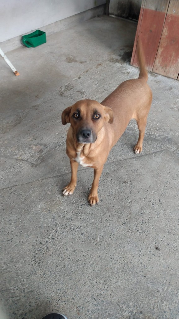 WhatsApp Image 2024-03-18 at 21.38.25 (1) (Personalizado)