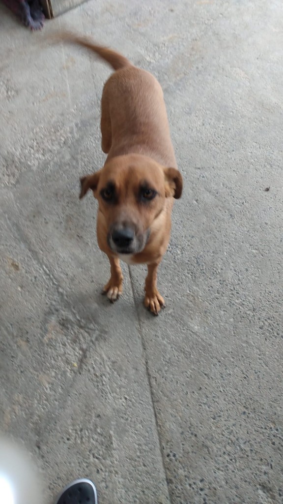 WhatsApp Image 2024-03-18 at 21.38.25 (Personalizado)